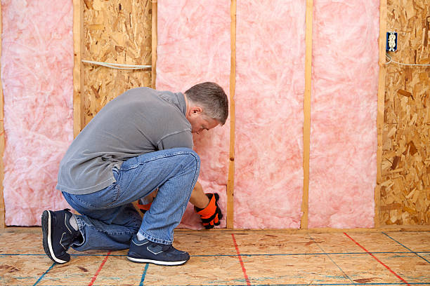 Best Types of Insulation in Woodlake, CA