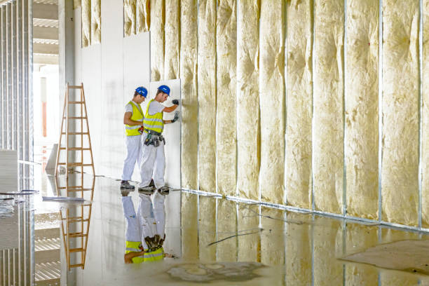 Best Insulation for Specific Applications in Woodlake, CA